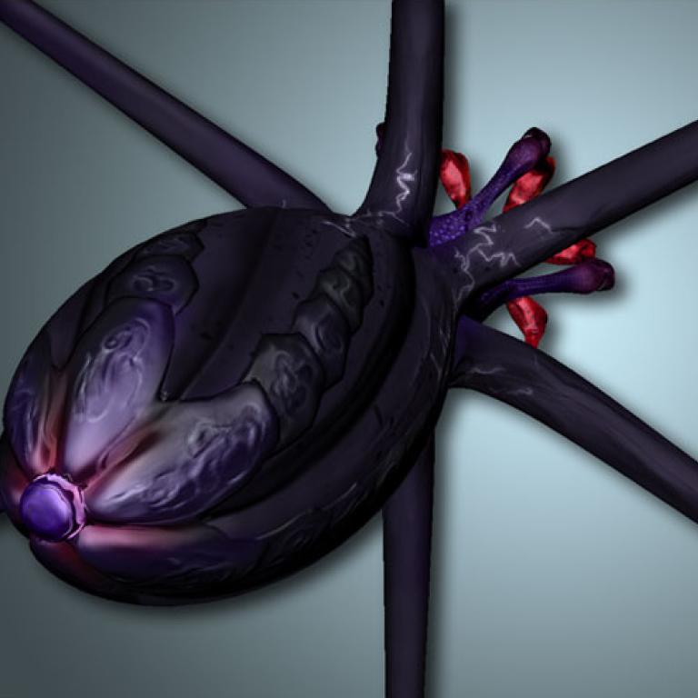 Ins Seminar geschaut: Projektarbeiten im Gamedesign 