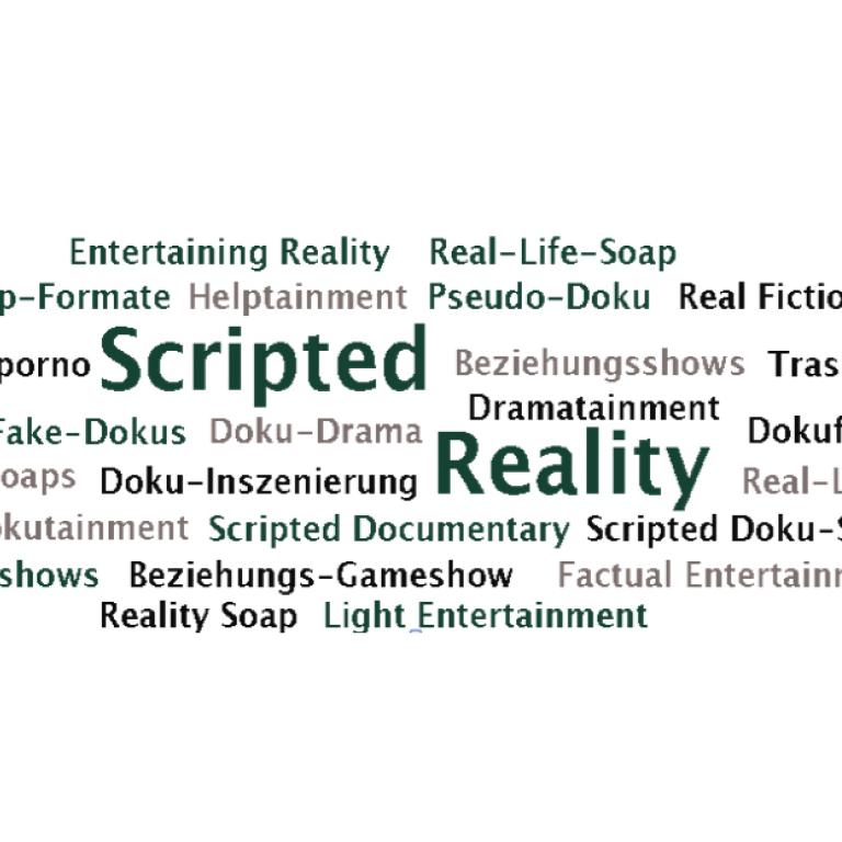 Scripted Reality: Dauerbrenner oder Auslaufmodell der TV-Nachmittags-Unterhaltung?