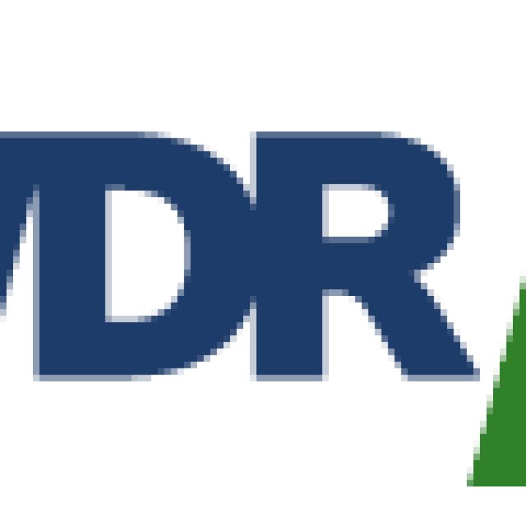 Flüchtlinge in den Medien 