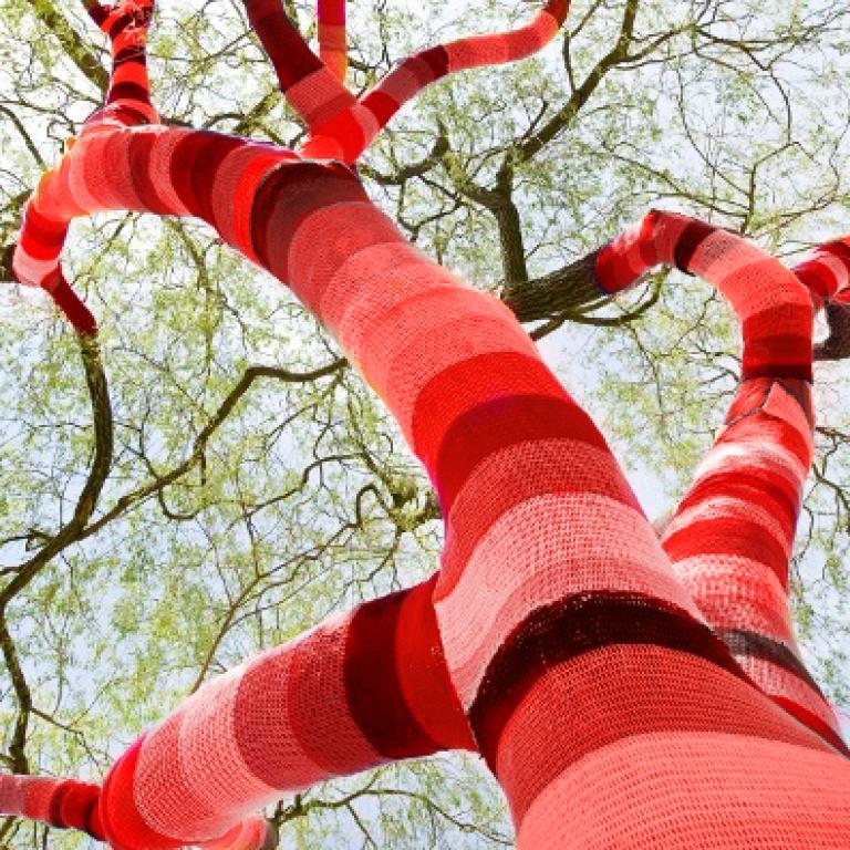 Lasst rote Bäume sprechen – Urban Knitting in Düsseldorf