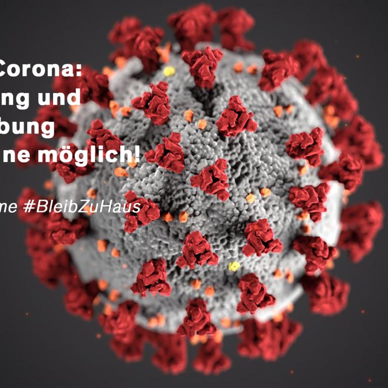 Coronavirus